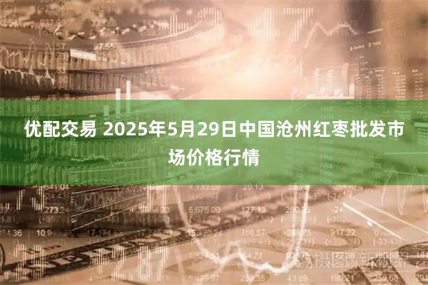 优配交易 2025年5月29日中国沧州红枣批发市场价格行情