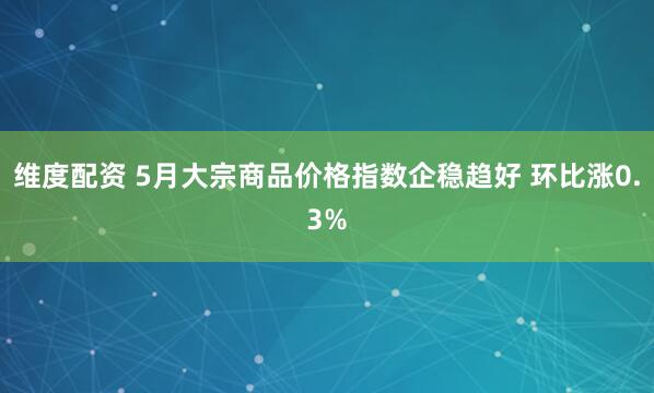 维度配资 5月大宗商品价格指数企稳趋好 环比涨0.3%