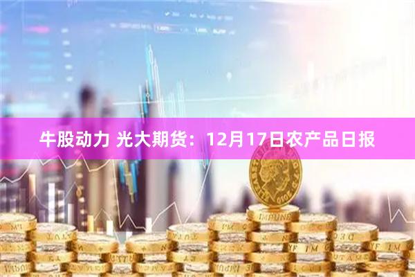 牛股动力 光大期货：12月17日农产品日报